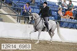 12r14_6963 proof