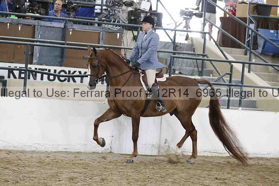 Proof 12r14_6965