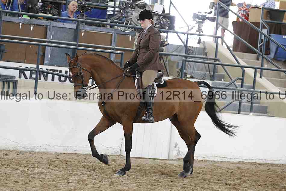 Proof 12r14_6966
