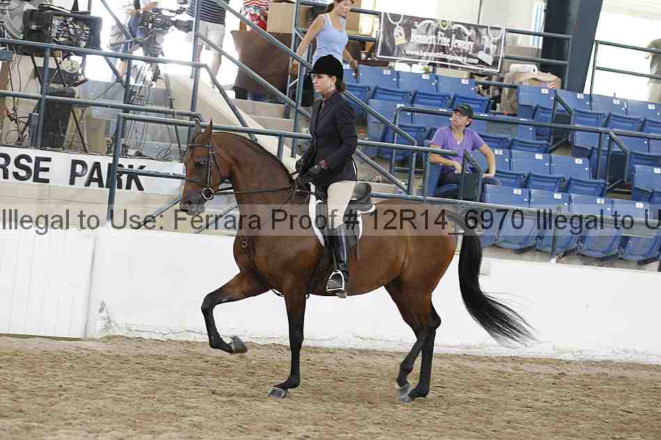 Proof 12r14_6970