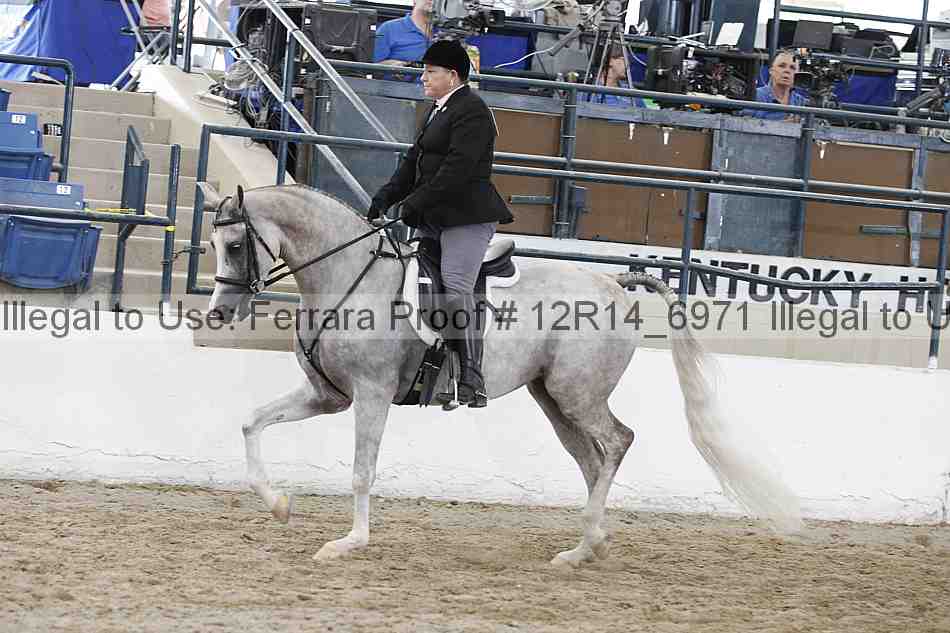 Proof 12r14_6971