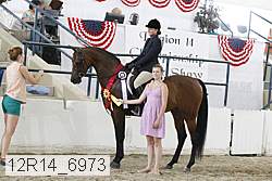 12r14_6973 proof