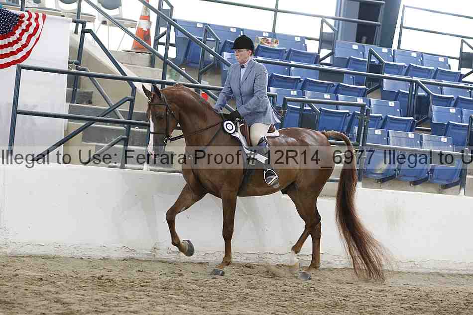 Proof 12r14_6977
