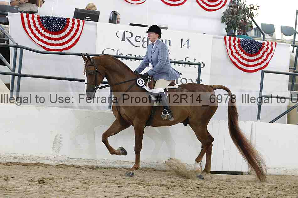 Proof 12r14_6978