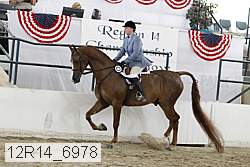 12r14_6978 proof