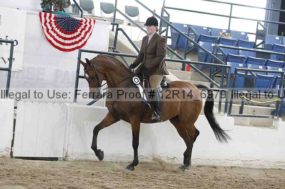 Proof 12r14_6979