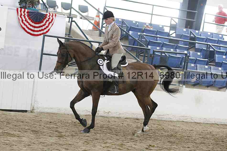 Proof 12r14_6980