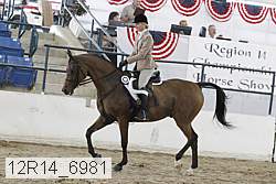 12r14_6981 proof