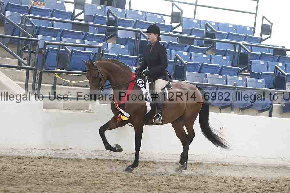 Proof 12r14_6982
