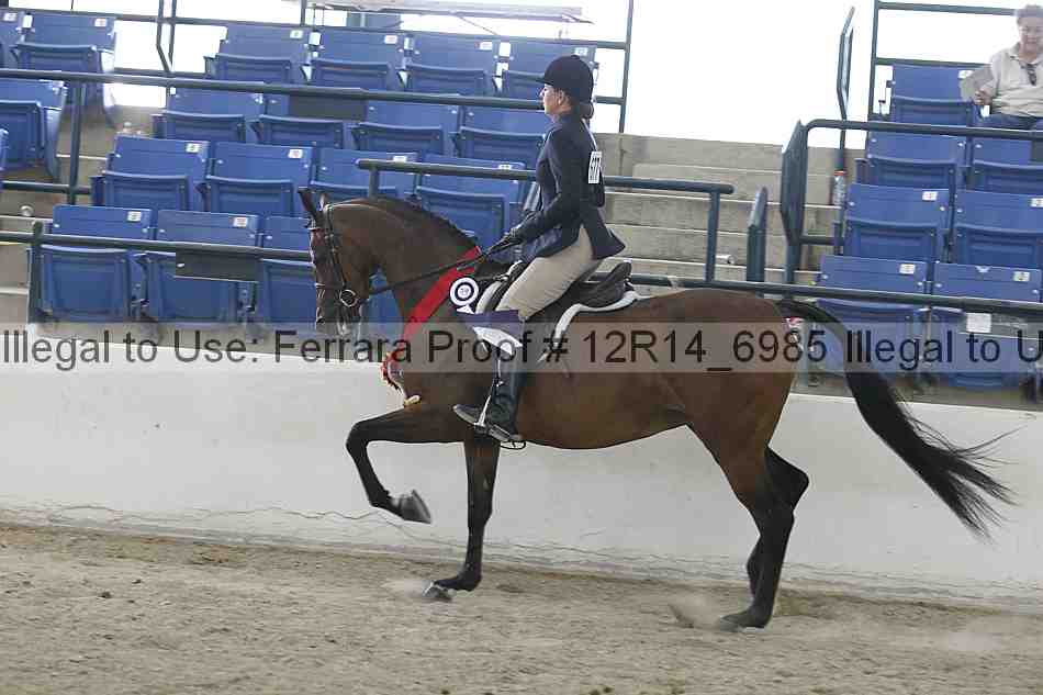 Proof 12r14_6985