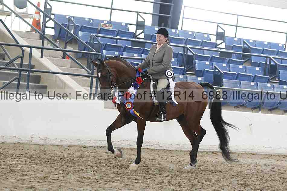 Proof 12r14_6988