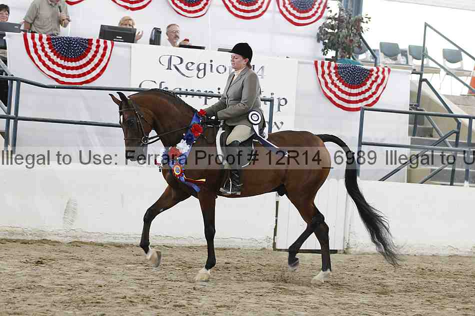 Proof 12r14_6989