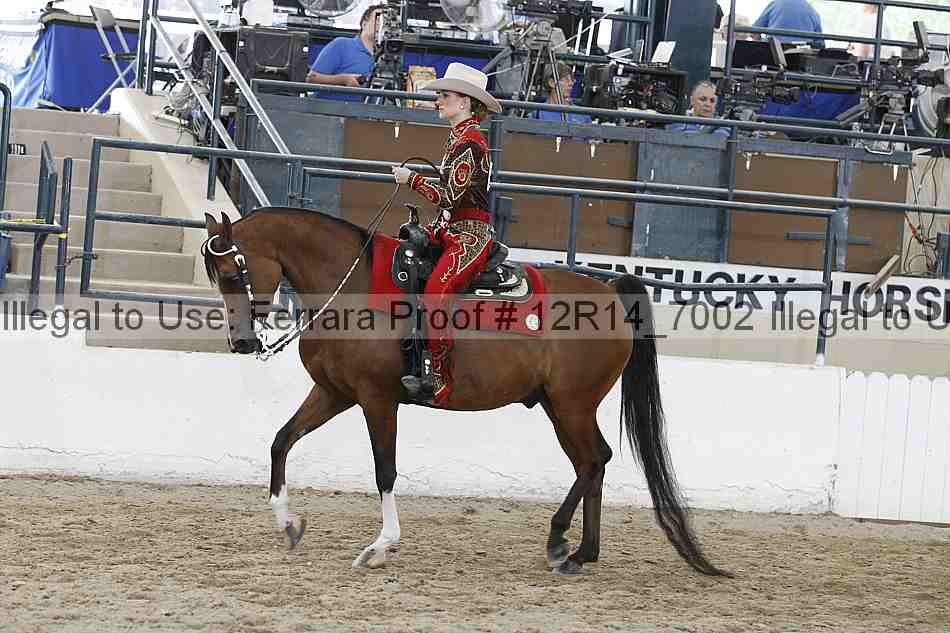 Proof 12r14_7002