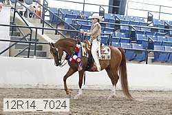 12r14_7024 proof