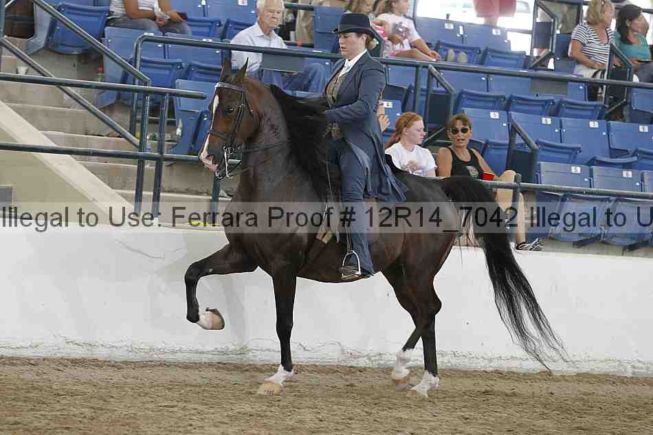 Proof 12r14_7042