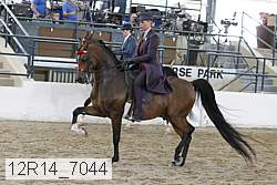 12r14_7044 proof