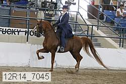12r14_7045 proof