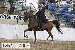 12r14_7066 proof