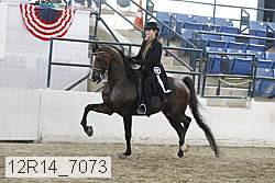 12r14_7073 proof