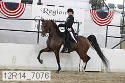 12r14_7076 proof