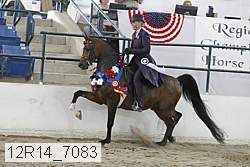 12r14_7083 proof