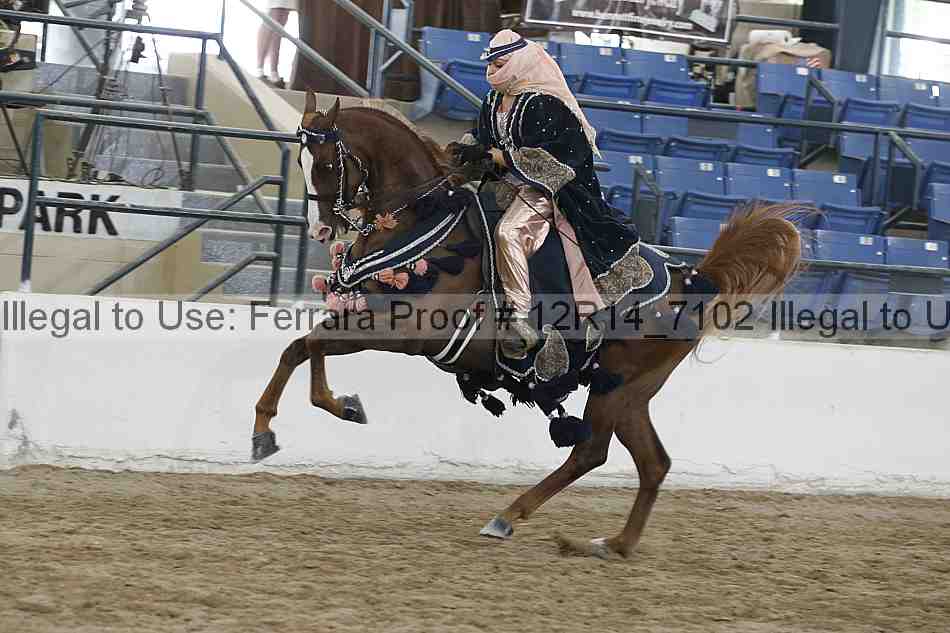 Proof 12r14_7102