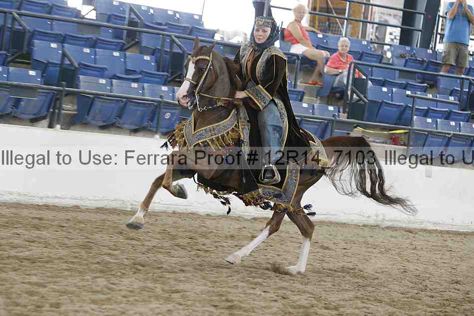Proof 12r14_7103