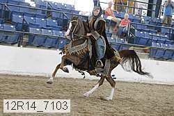 12r14_7103 proof