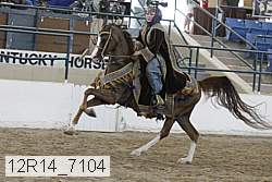 12r14_7104 proof