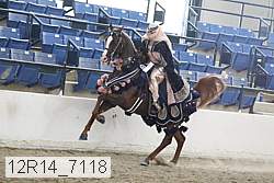 12r14_7118 proof