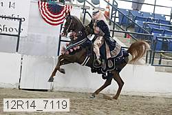 12r14_7119 proof