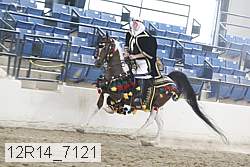 12r14_7121 proof