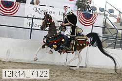 12r14_7122 proof