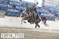 12r14_7132 proof