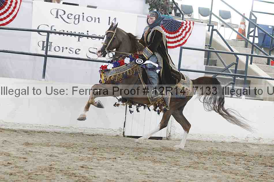 Proof 12r14_7133