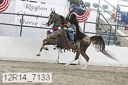 12r14_7133 proof