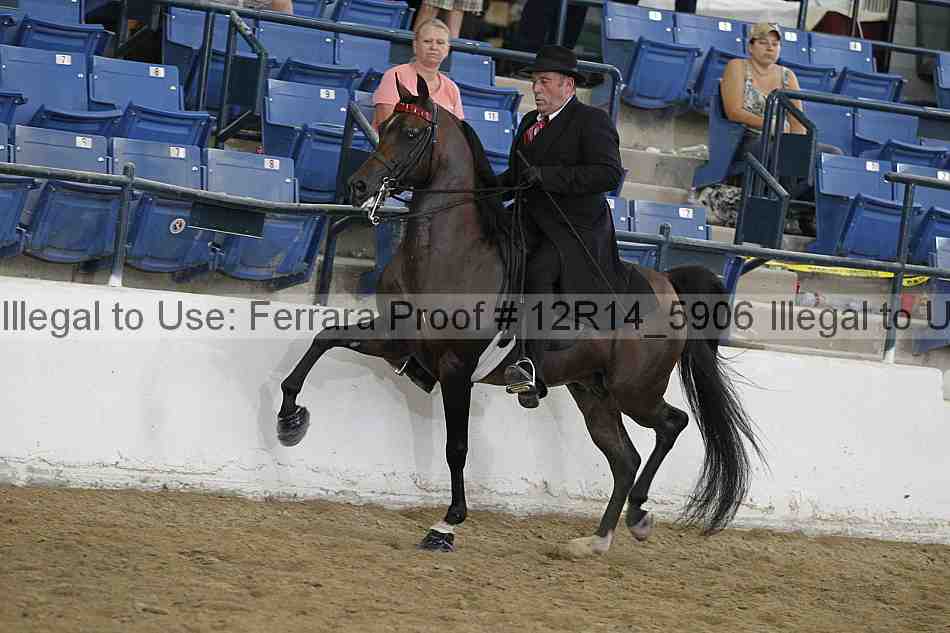Proof 12r14_5906