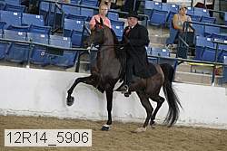 12r14_5906 proof