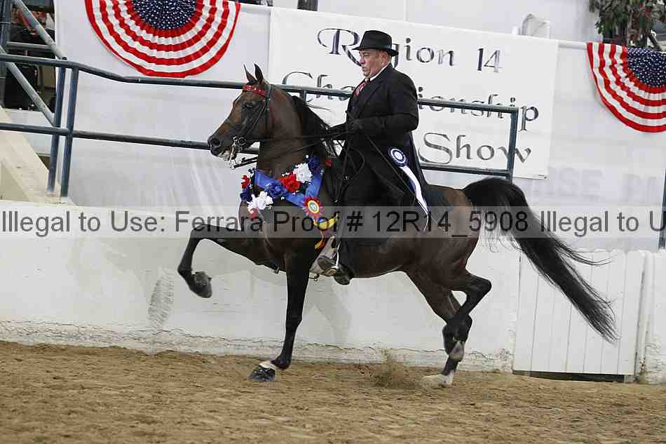 Proof 12r14_5908