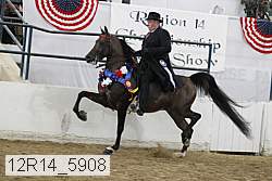 12r14_5908 proof