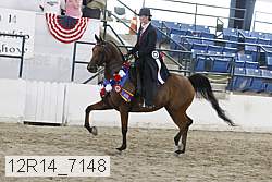 12r14_7148 proof