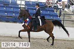 12r14_7149 proof