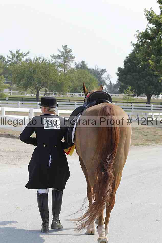 Proof 12r14_6149