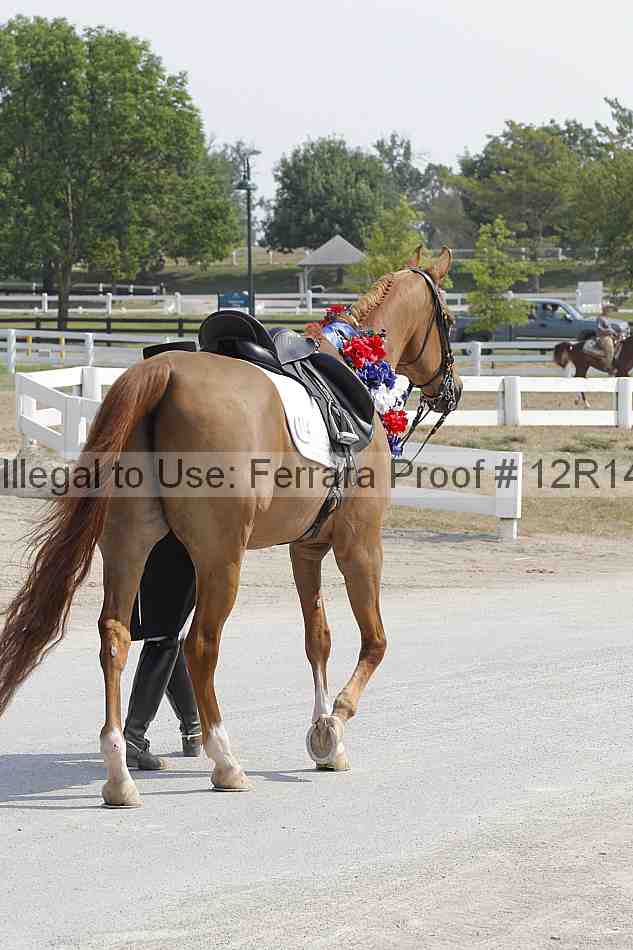 Proof 12r14_6151