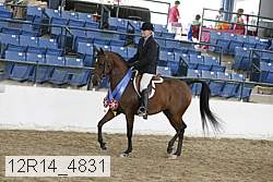 12r14_4831 proof