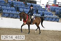 12r14_4832 proof