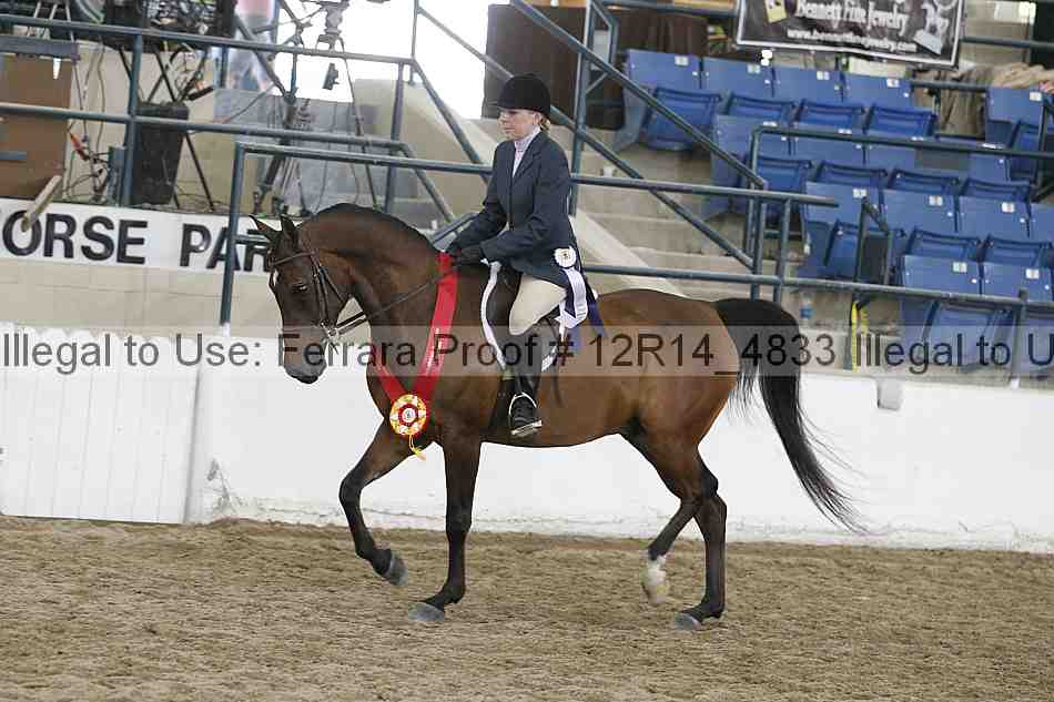 Proof 12r14_4833