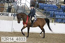 12r14_4833 proof