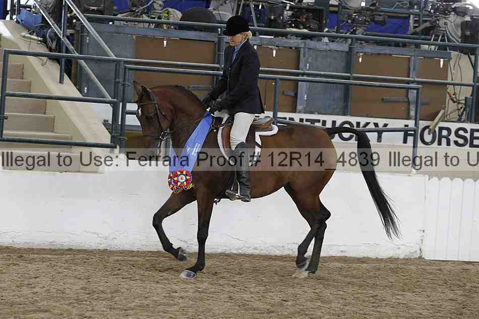 Proof 12r14_4839