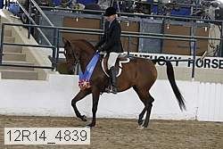 12r14_4839 proof